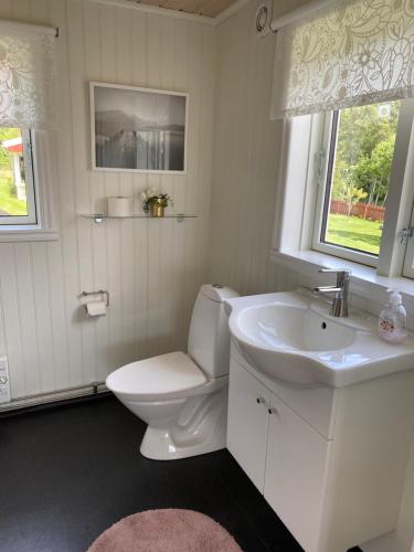 ein weißes Bad mit einem WC und einem Waschbecken in der Unterkunft Barkeryd Norrtorpet in Nässjö