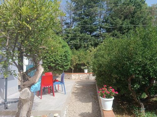 Κήπος έξω από το Duplex House