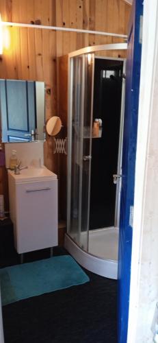 une salle de bain avec douche et lavabo dans l'établissement Espace Nature Studio indépendant proche du Parc des oiseaux, à Sainte-Olive