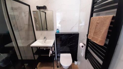 ein Badezimmer mit einem Waschbecken, einem WC und einem Spiegel in der Unterkunft Ośrodek Wypoczynkowy Graniczny in Zwardoń