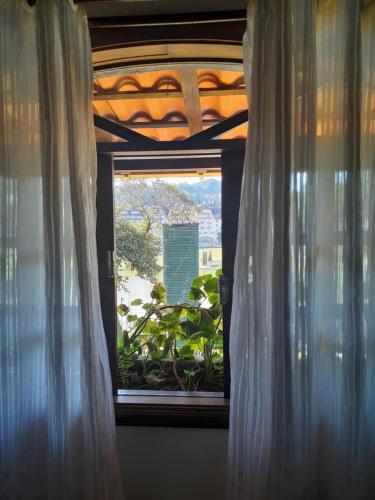 Φωτογραφία από το άλμπουμ του Gallardin Palace Hotel σε Πετρόπολις