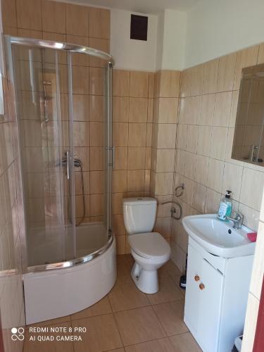 ein Bad mit einer Dusche, einem WC und einem Waschbecken in der Unterkunft Zielony Domek in Polańczyk