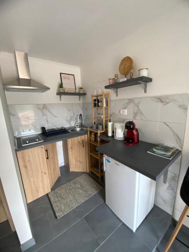 a small kitchen with a counter and a sink at Greg's Rooms in Ilirska Bistrica