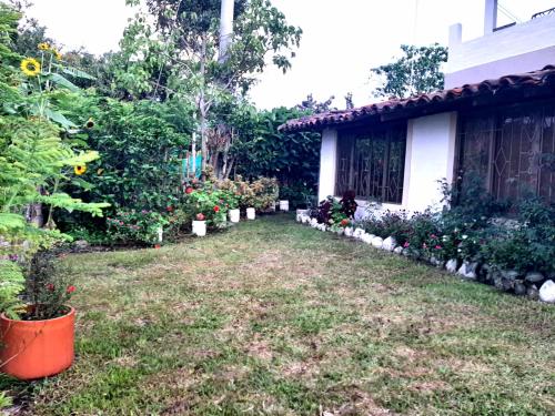 Casa Blanca في بالميرا: ساحة بها بعض النباتات والبيت