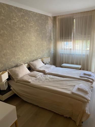 a bedroom with a large bed and a window at G apartment in Plovdiv