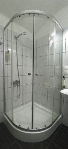 a shower with a glass door in a bathroom at MSH Rustic apartment - Liars Bridge Sibiu in Sibiu