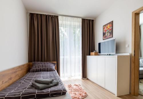 sypialnia z łóżkiem, telewizorem i oknem w obiekcie Apartmán Katka w Liptowskim Janie