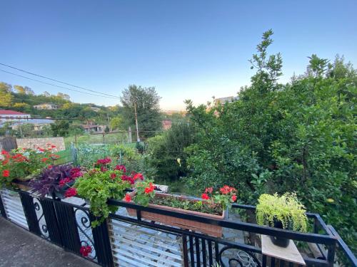 En have udenfor Guesthouse Hill Side