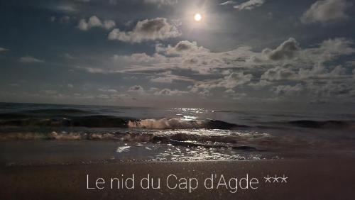 Résidence de standing la Pêcherie Spacieux T3 comme un cocon familial vue mer et sur l'avant port Sur le bout du bout de Cap d'Agde seule cap en Occitanie photo 40