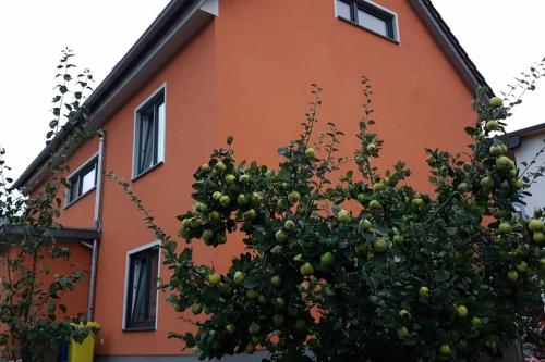 ein Baum vor einem orangenen Gebäude in der Unterkunft ruhige Einliegerwohnung+Terrasse in Jena