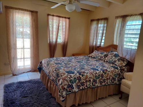 a bedroom with a bed and a ceiling fan at 2 Bedroom 2 Bathroom House Centrally Located in Christiansted