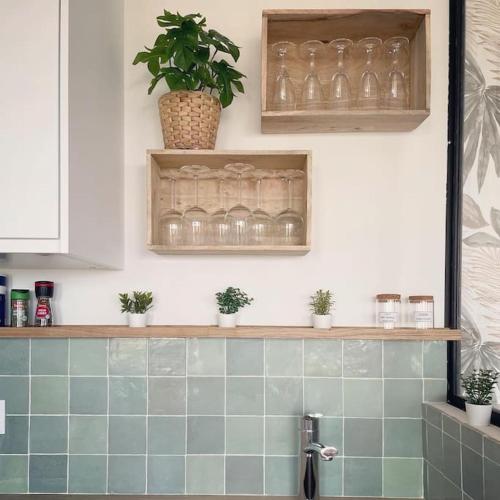 une cuisine avec une étagère avec des verres et des plantes en pot dans l'établissement CASA ANPÀ - Mini Villa Vue Mer Ste Lucie de Porto-Vecchio, à Lecci