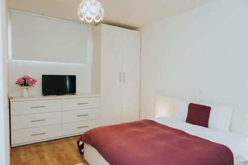 a bedroom with a large bed and a tv at Camelia's cozy place in Baia Mare