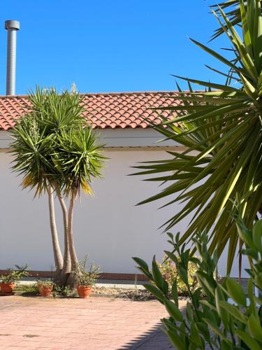a building with two palm trees in front of it at #11 Mini ESTUDIO FAMILIAR AYAMONTE in Ayamonte