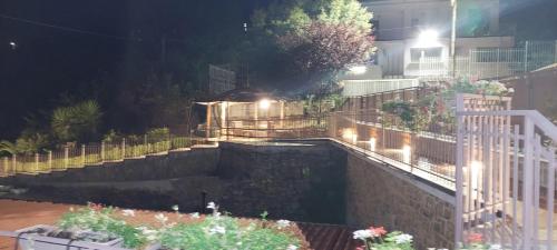 a garden at night with a pond with plants at Villa Vilù in Bellosguardo