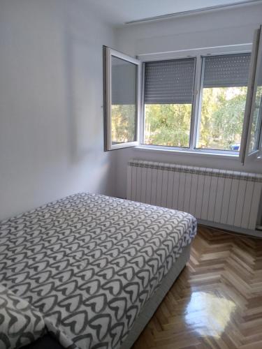 ein Schlafzimmer mit einem Bett und zwei Fenstern in der Unterkunft APARTMAN MARKOVIC in Loznica