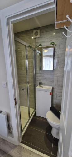 a bathroom with a toilet and a glass shower at Cosy Garden Condo in Lucan