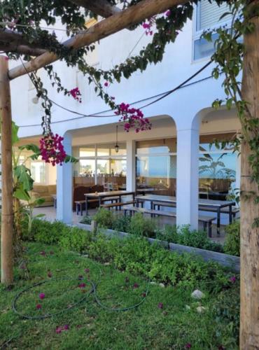 Arrifana Sunset & Ocean View