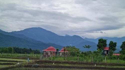 a house in a field with mountains in the background at The GreyStone FarmHouse, Turibari in Ranīchera