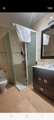 a bathroom with a shower and a sink and a toilet at Apartamento Larisa in Nájera