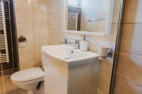 a bathroom with a sink and a toilet and a mirror at Camelia's cozy place in Baia Mare