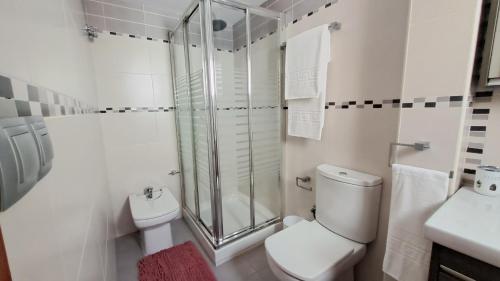 e bagno con doccia, servizi igienici e lavandino. di Apartamentos TrianaSol a Siviglia