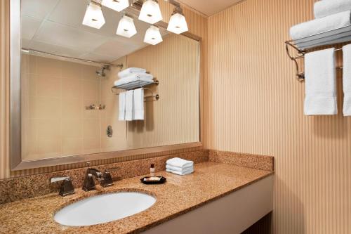 a bathroom with a sink and a mirror at Sheraton Framingham Hotel & Conference Center in Framingham