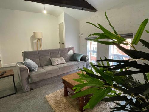 a living room with a couch and a plant at 1 Silvester Square in Hull