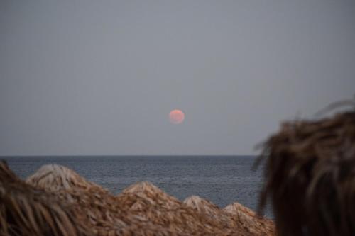 a person looking at the ocean with the moon in the sky at SeaSideRooms in Ierápetra