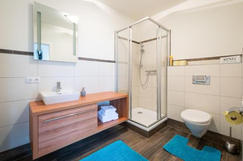 ein Bad mit einer Dusche, einem Waschbecken und einem WC in der Unterkunft Appartement Christine in Eben im Pongau