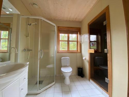 y baño con aseo, ducha y lavamanos. en Trollbo ved Solstua en Lifjell