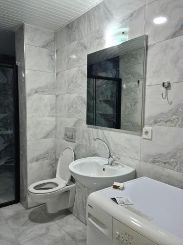 ein Badezimmer mit einem Waschbecken, einem WC und einem Spiegel in der Unterkunft 1922 Zeytin Apart in Demre