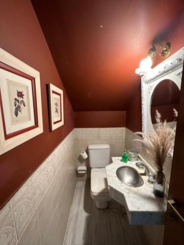ein Badezimmer mit einem WC, einem Waschbecken und einem Spiegel in der Unterkunft Temporario yerba buena country in Yerba Buena