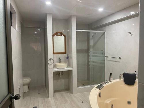 ein Badezimmer mit einer Dusche, einer Badewanne und einem Waschbecken in der Unterkunft Hermoso minidepartamento in Huaraz