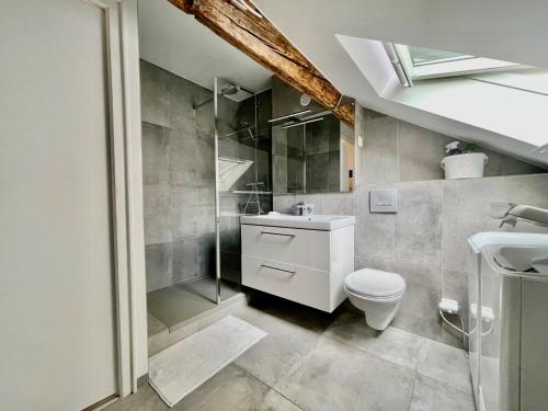 a bathroom with a toilet and a shower and a sink at La Maison de Jade in Gex