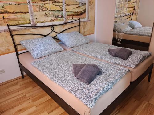 2 Betten mit Kissen auf einem Zimmer in der Unterkunft Traditionshotel Goldener Löwe in Zeulenroda