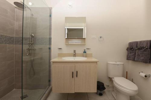 a bathroom with a toilet and a sink and a shower at Osmax Oasis, 2 BD and 2 BA, Gated, near Puerto Seco Beach in Discovery Bay