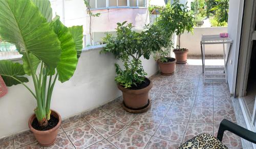 Μπαλκόνι ή βεράντα στο Christina's house with 2 bedrooms and free parking