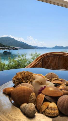 a group of shells on a table with a view of a lake at Apartman PITOSPORA in Klek