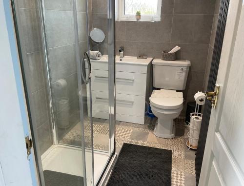 a small bathroom with a toilet and a shower at 6 Calbost in Calbost