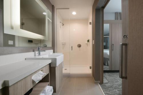 La salle de bains est pourvue d'un lavabo et d'une douche. dans l'établissement SpringHill Suites by Marriott Texas City, à Texas City