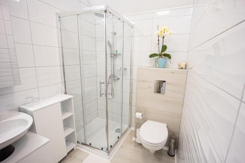 a bathroom with a shower and a toilet and a sink at Apartment MaRI&BoR in Maribor