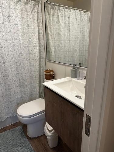 a bathroom with a toilet and a sink and a mirror at Departamento a minutos del centro de Puerto Montt Pelluco alto in Puerto Montt