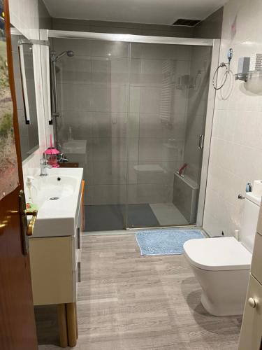 a bathroom with a shower and a sink and a toilet at Ca La Luci in San Juan de Palamós