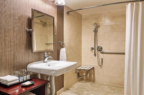 ein Bad mit einem Waschbecken und einer Dusche in der Unterkunft Sheraton North Houston at George Bush Intercontinental in Houston