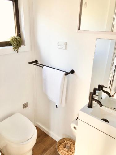 a bathroom with a toilet and a sink and a mirror at Whisky @ On The Rocks in Rock Valley