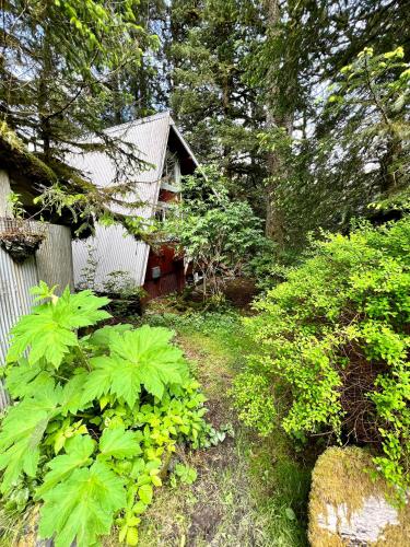 a garden with plants in front of a house at THE SHORELINE CABIN in Kodiak