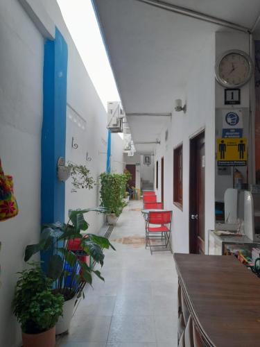 an empty hallway with plants and a clock on the wall at Hotel Isla Capri in Mompós