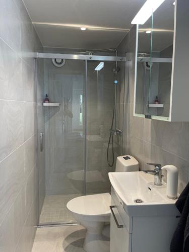 y baño con ducha, aseo y lavamanos. en Modern guesthouse with loft, en Malmö
