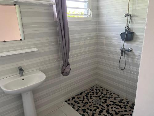 a bathroom with a sink and a shower at Le domaine de Luluc in Vieux-Habitants